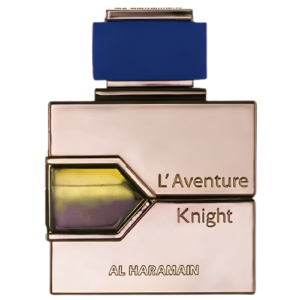 L'AVENTURE KNIGHT