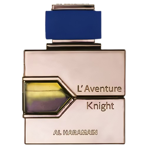 L'AVENTURE KNIGHT